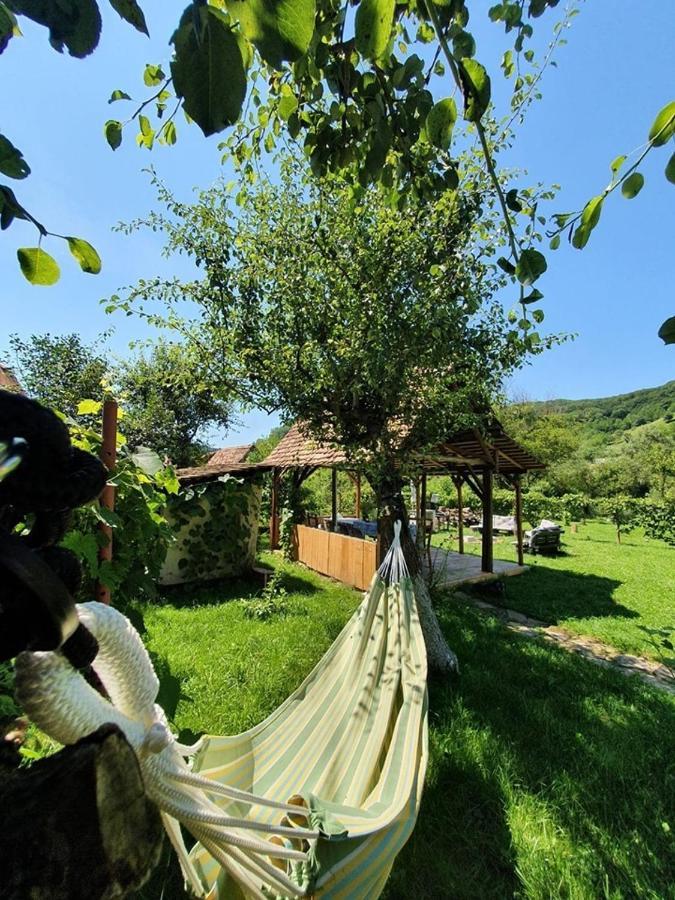 Valchid Guest House מראה חיצוני תמונה