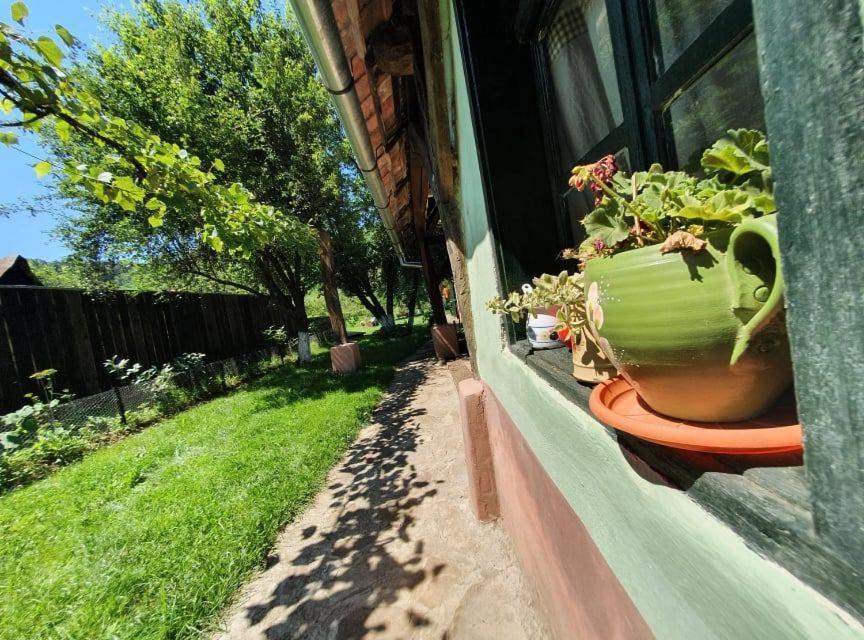 Valchid Guest House מראה חיצוני תמונה