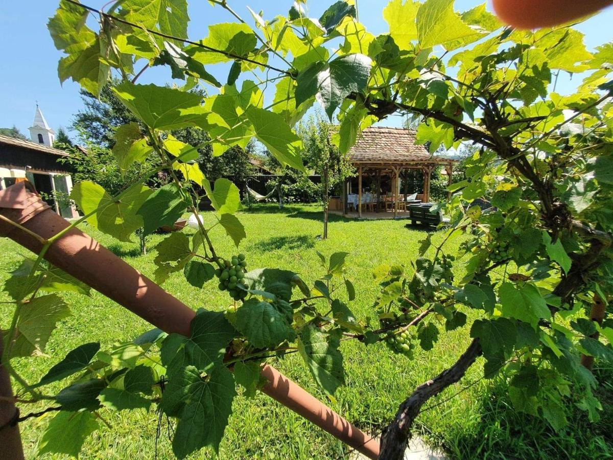 Valchid Guest House מראה חיצוני תמונה